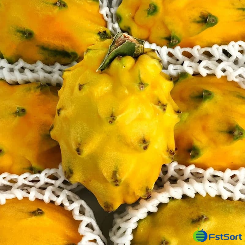 images/1668670816684pitahaya ecuatoriana.jpg